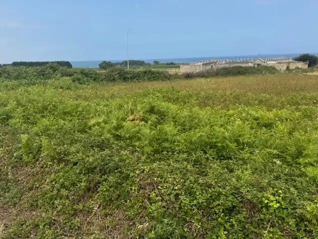 Residential zum Verkauf in Ribadeo