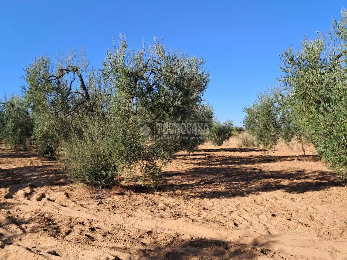 Terreno en venta en Pilas