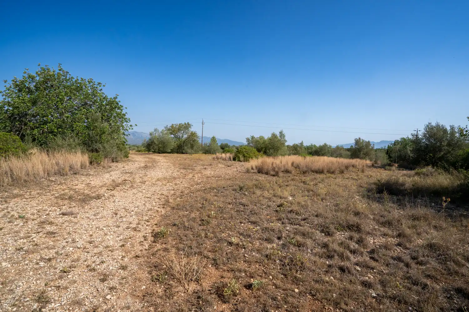 Rural land for sale in Vinallop, imagen 21