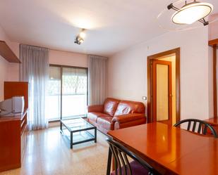 Living room of Flat for sale in L'Hospitalet de Llobregat