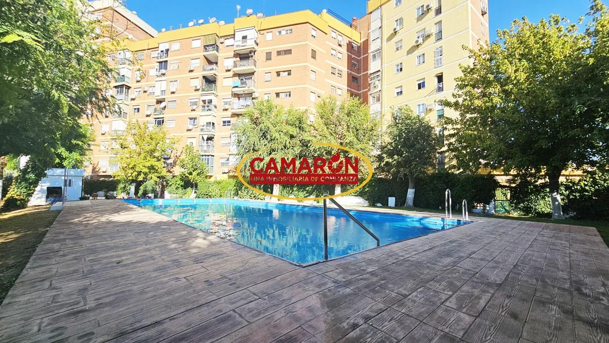 Vista exterior de Planta baixa en venda en  Sevilla Capital amb Balcó i Piscina comunitària