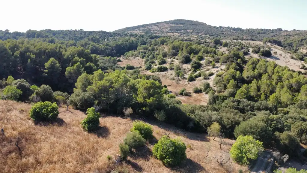 Country house for sale in Sant Llorenç des Cardassar, imagen 6