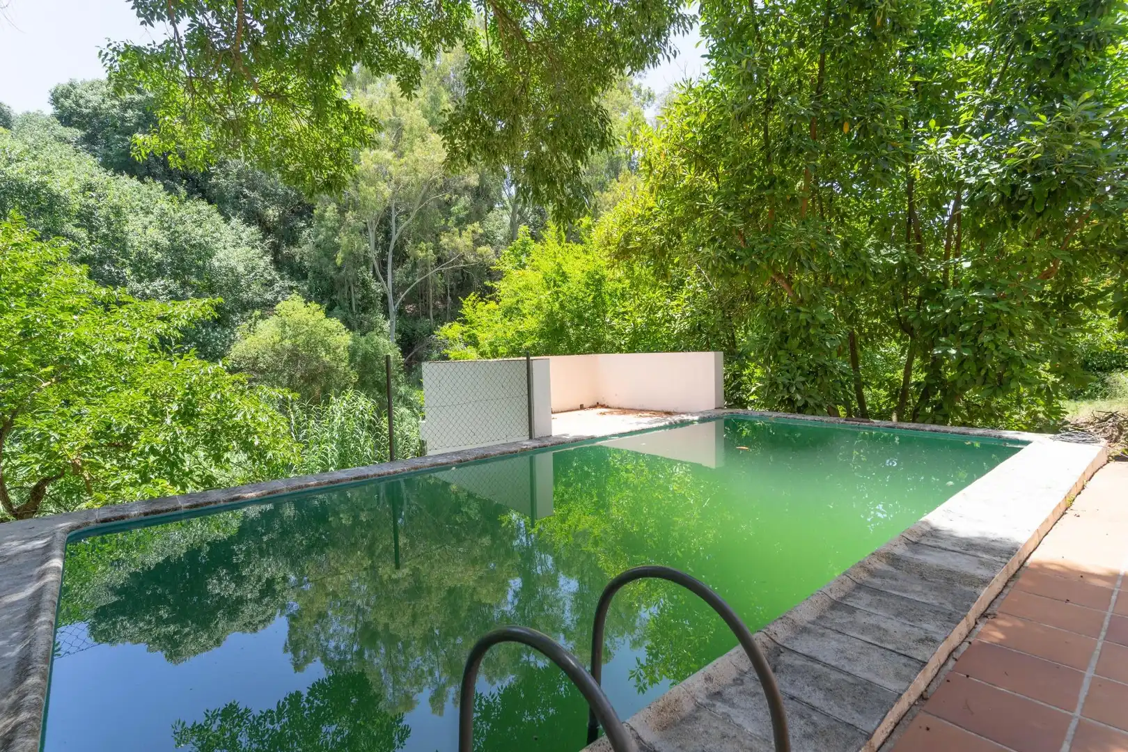 Swimming pool of Houses for sale in Alhaurín El Grande  with Private garden, Terrace and Storage room