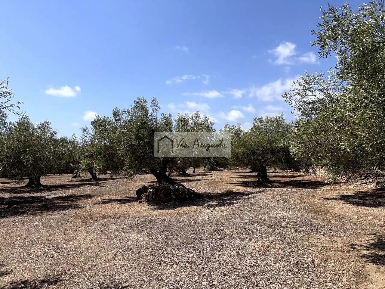 Terrain rustique à vendre à Espinal, imagen 25