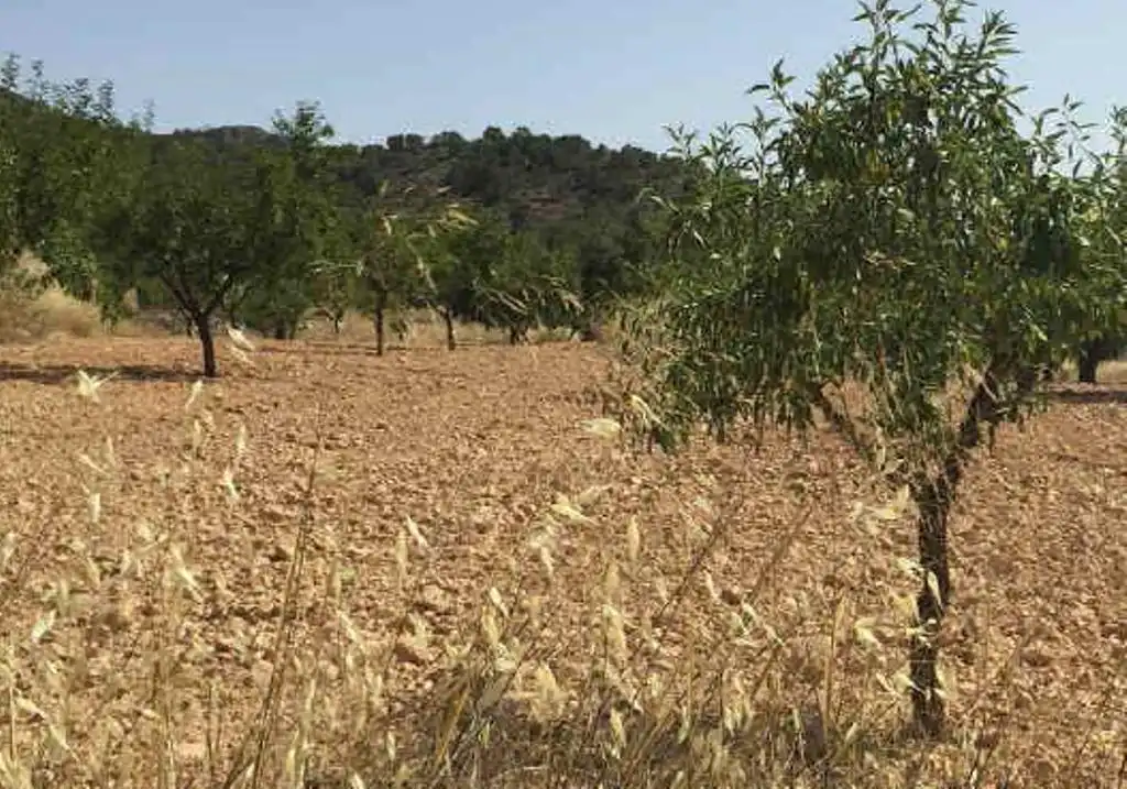 Rustikales Grundstück zum Verkauf in Pt Los Llanicos, Pol 17, imagen 9