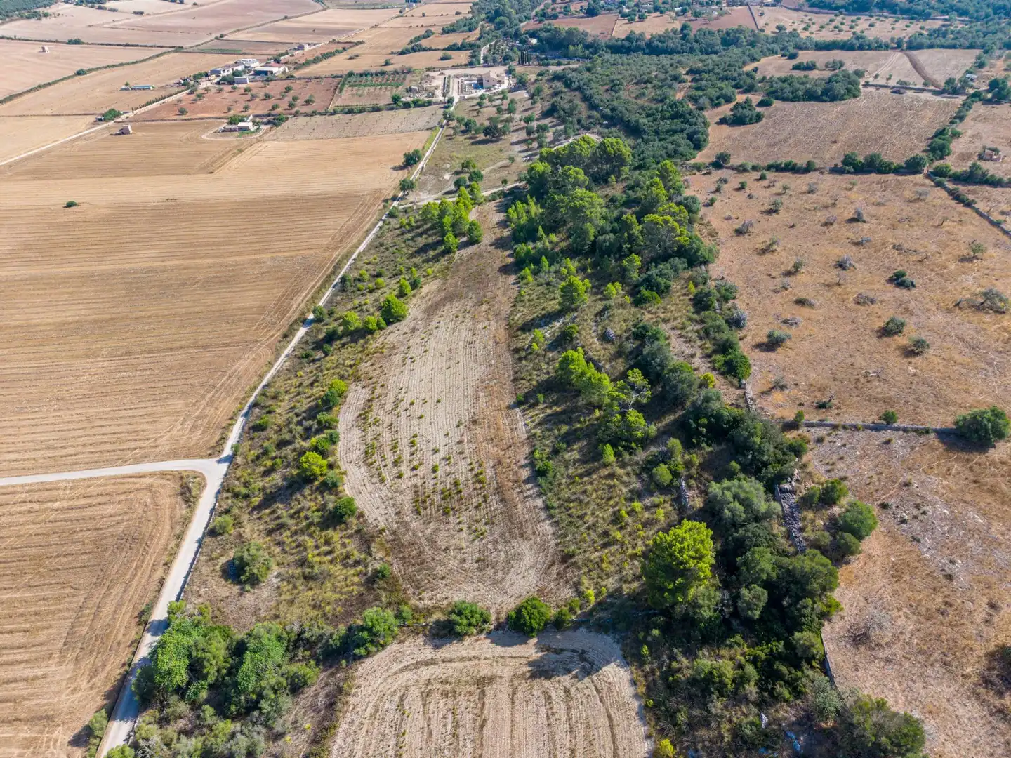 Residencial en venda en Petra