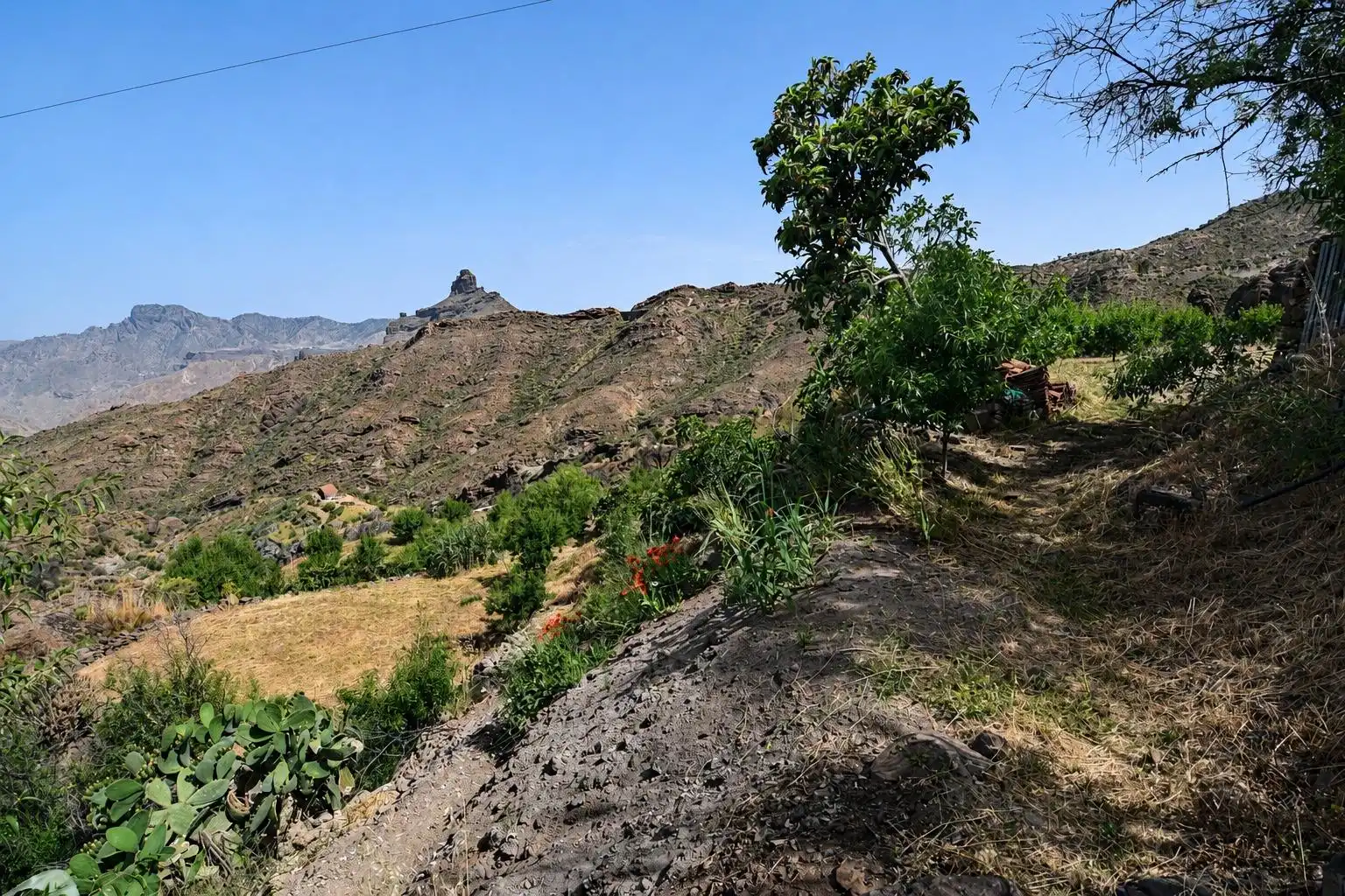Finca rústica en venta en Tejeda con Terraza