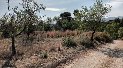 Photo 4 of Residential for sale in Les Alqueries 7 Partida.numero 6 Polígono 6 Parcel, Santa Ana, Valencia