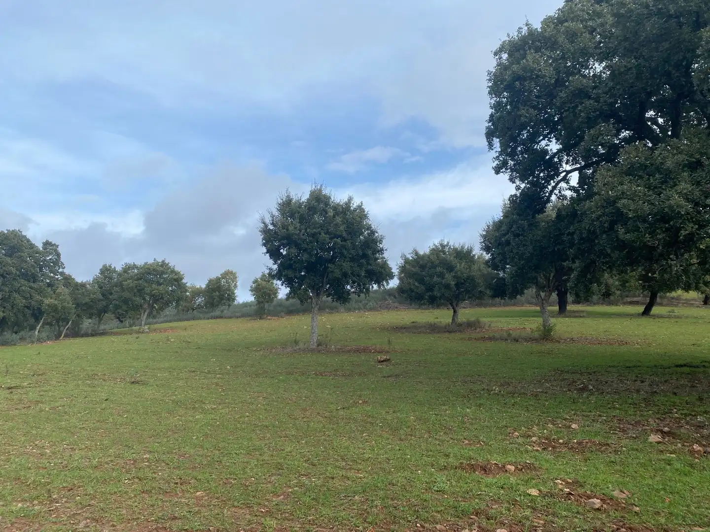 Terreno en venta en Anchuras