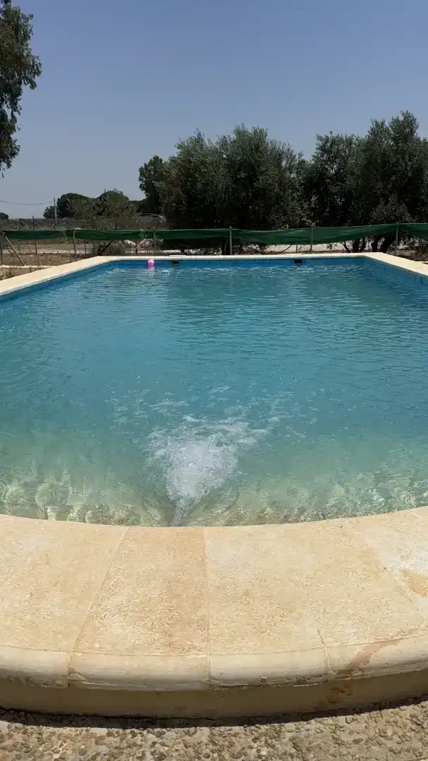 Piscina de Finca rústica en venda en Marchena amb Aire condicionat i Piscina