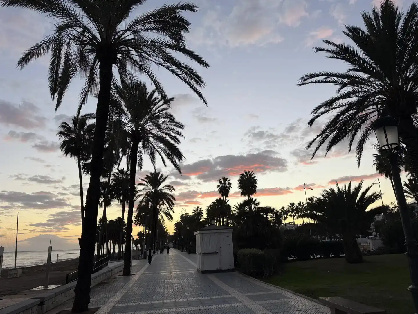 Vista exterior de Estudi de lloguer en Marbella amb Jardí privat, Piscina i Moblat