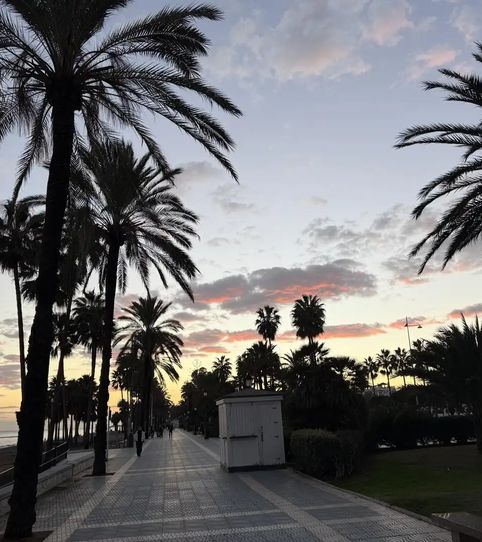 Foto 2 de Estudi de lloguer a Conjunto Benabolá, 1, Puerto Banús, Marbella