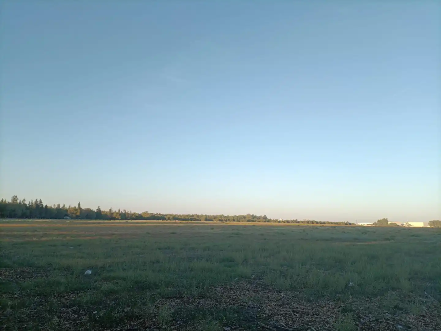 Terreno residenziale in vendita a Este - Alcosa- Torreblanca, imagen 5