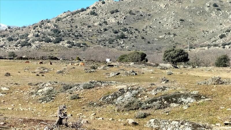 Residencial en venta en El Barco de Ávila 