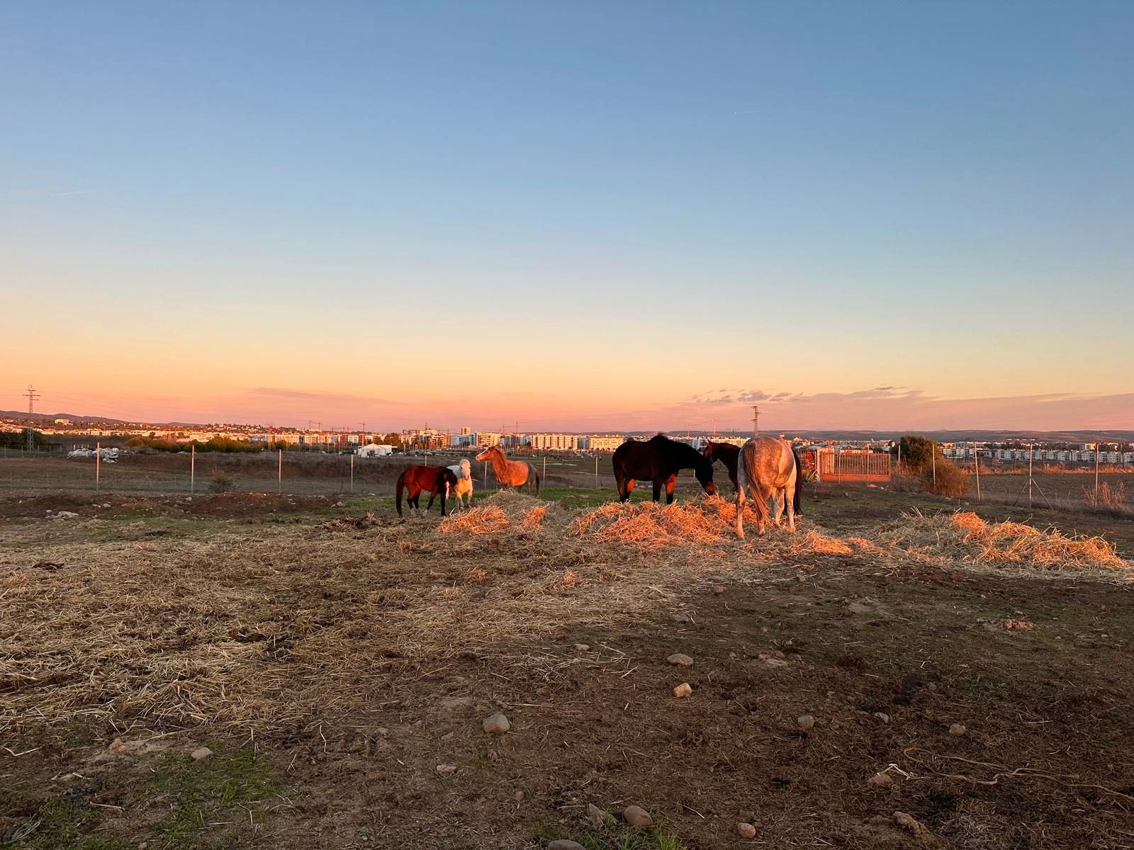 Vista exterior de Finca rústica en venda en  Córdoba Capital