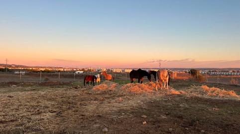 Photo 2 of Country house for sale in Tablero Bajo - Arruzafilla, Córdoba