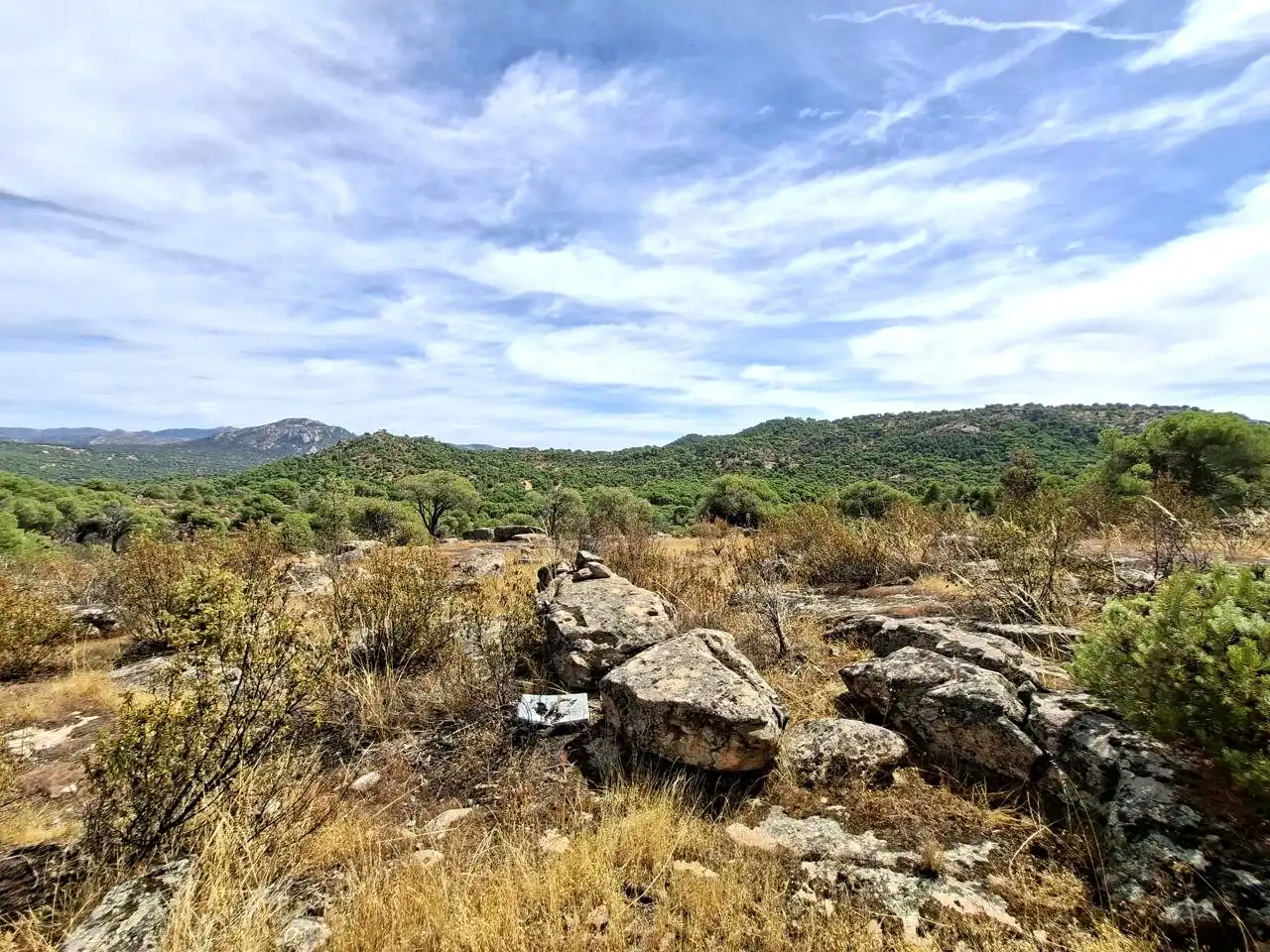 Terreny rústic en venda a Navahoncil, imagen 10