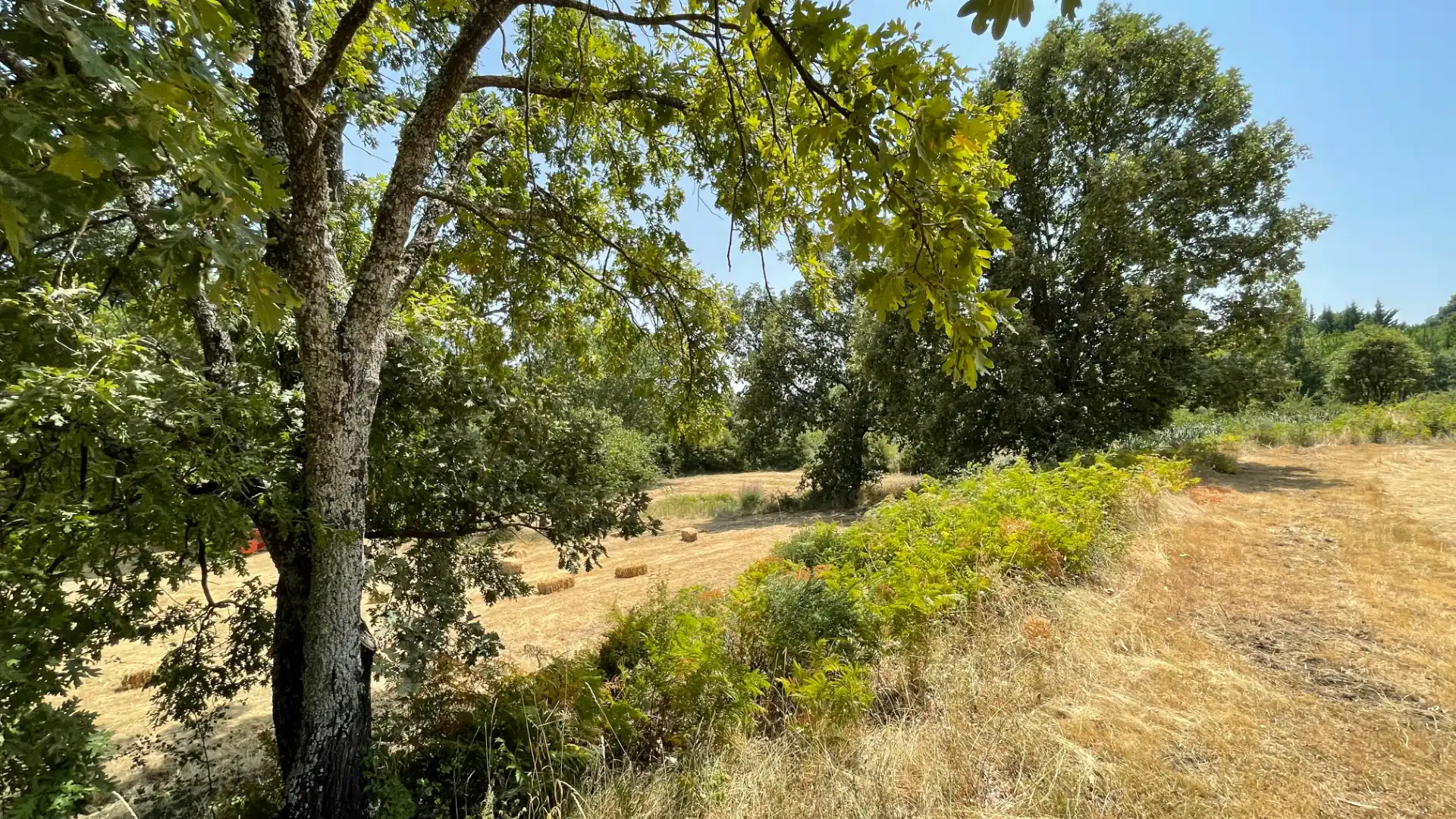 Grundstücke zum Verkauf in El Arenal 