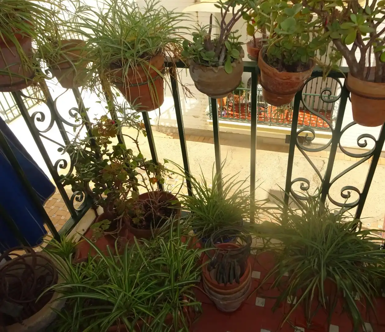 Flat for rent in San Gil