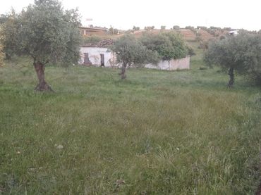 Casa rustica in vendita a Oeste