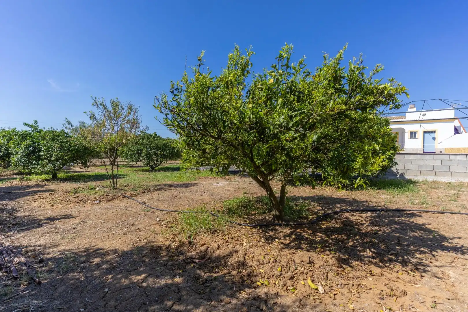 Casa o chalet en venta en La Puebla del Río con Terraza, Trastero y Piscina