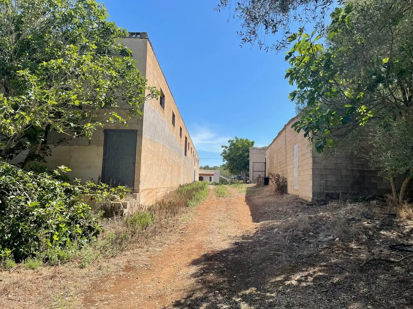 Vista exterior de Finca rústica en venta en Ariany con Jardín privado