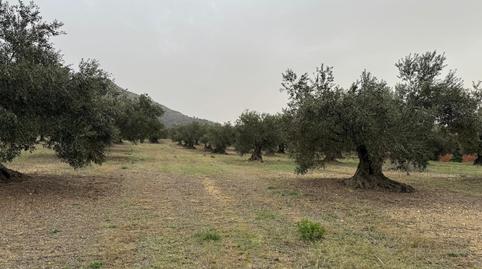 Photo 3 of Land for sale in Carrer de Dalt, Centre, Girona