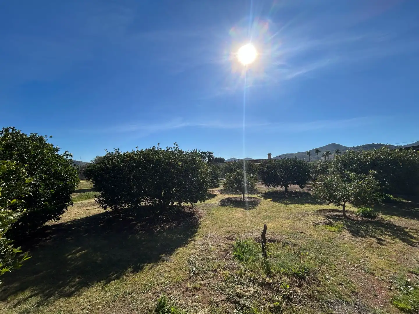 Finca rústica en venta en Cartagena con Jardín privado, Terraza y Trastero
