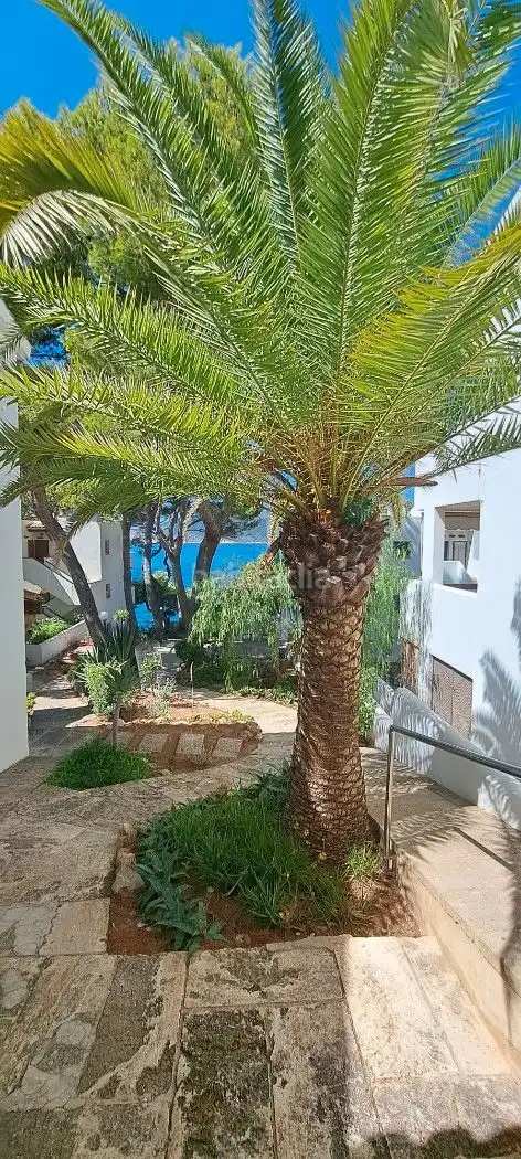 Appartement avec jardin à louer à Carrer Cala es Conills 42, imagen 45