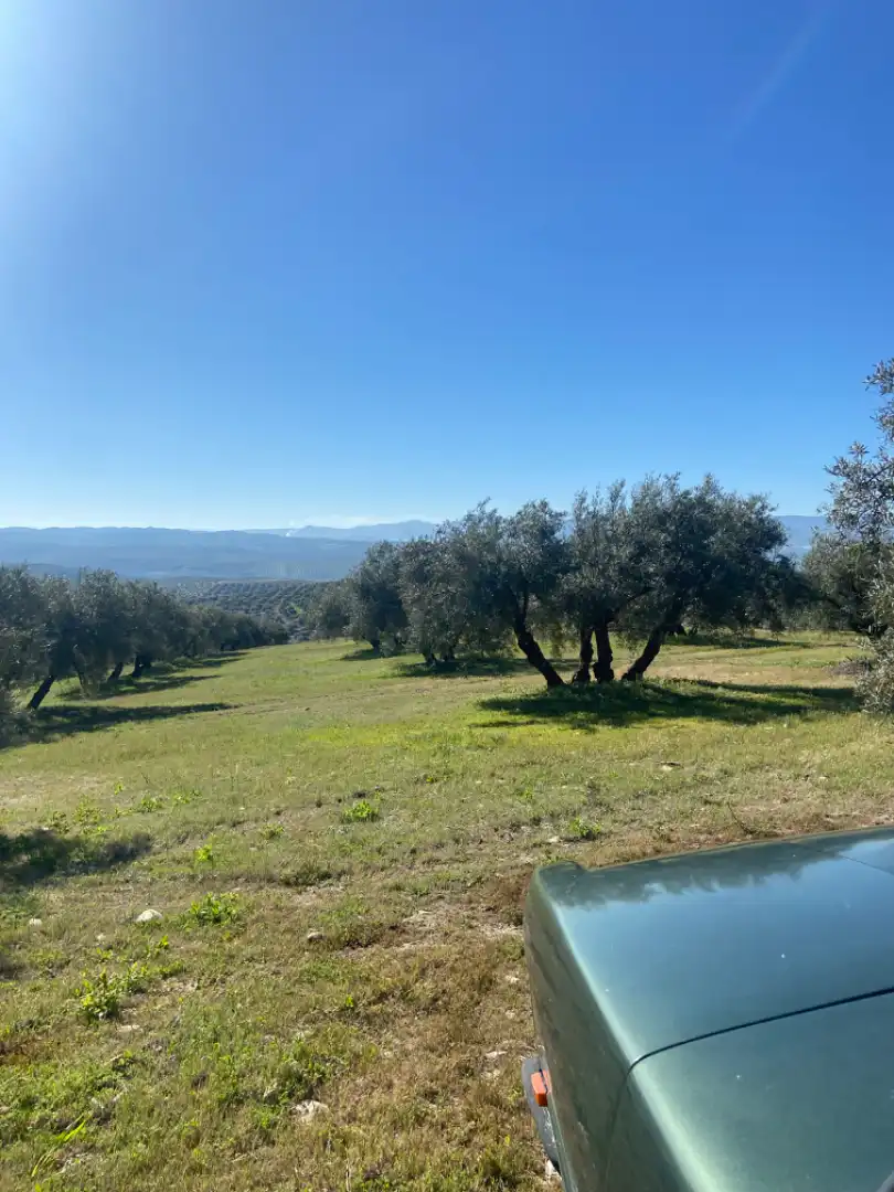 Terreno en venta en Baena