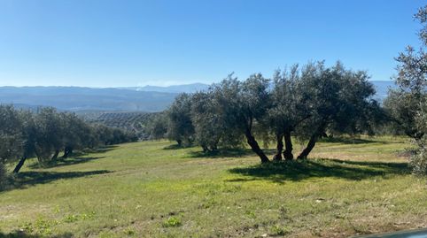 Photo 2 of Land for sale in Calle Rey Fernando, Baena, Córdoba