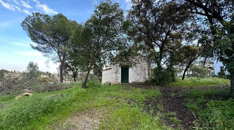 Foto 3 de Residencial en venda a Calle Canónigo Álvaro Pizaño, 10, El Brillante -El Naranjo - El Tablero, Córdoba Capital
