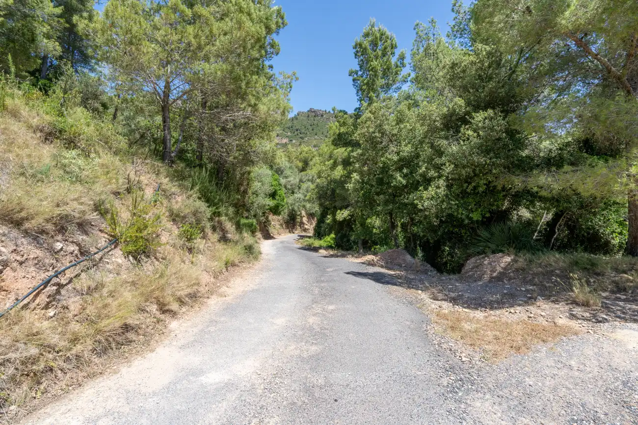 Terreny rústic en venda a Carrer del Trinquet 6, imagen 17