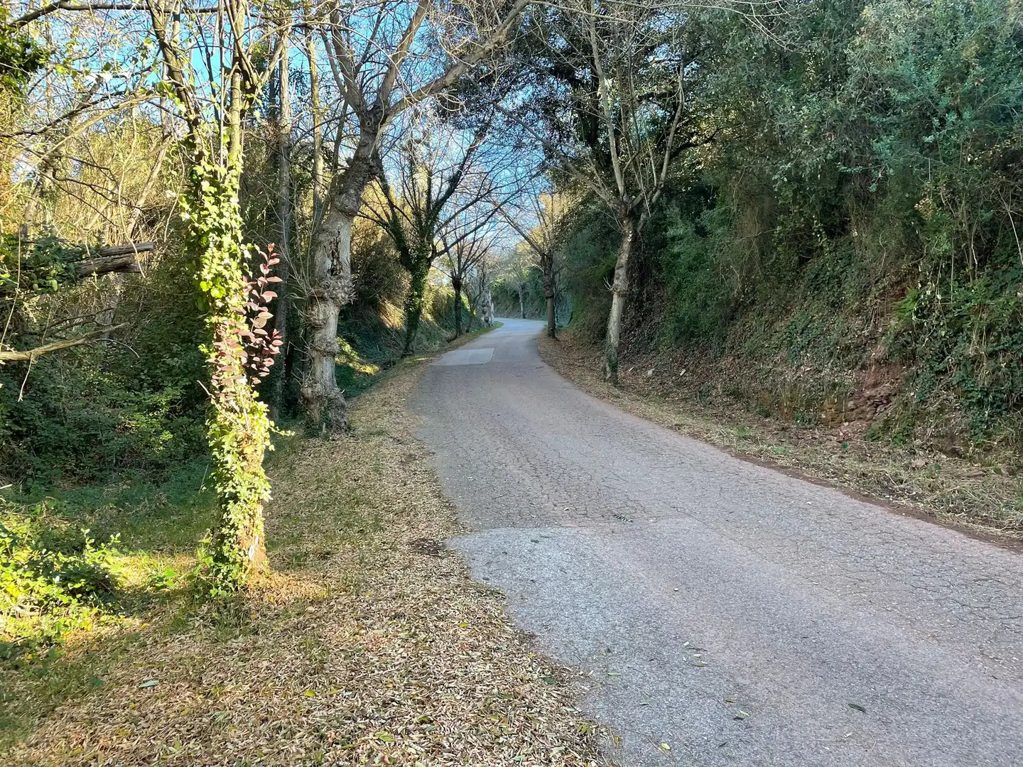 Außenansicht von Country house zum Verkauf in Sant Julià de Ramis mit Privatgarten
