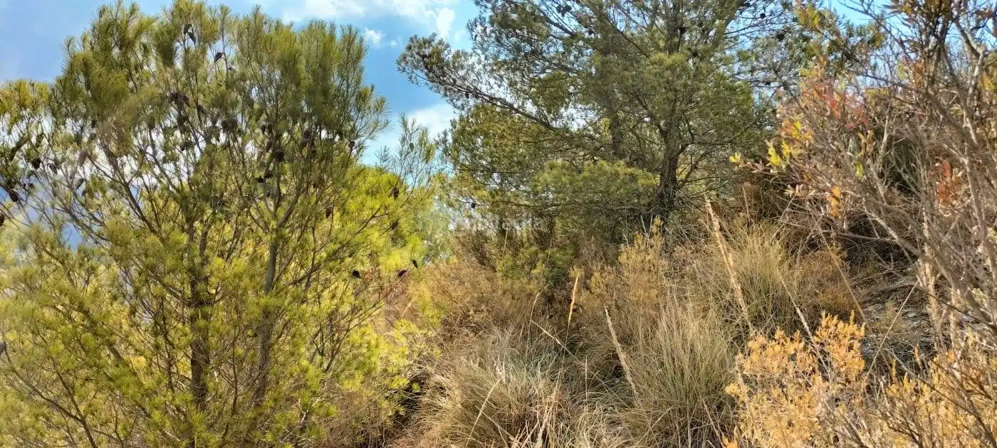 House for sale in Los Tablones 9, imagen 11