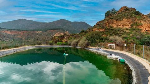 FINCA RUSTICA PRODUCTIVA