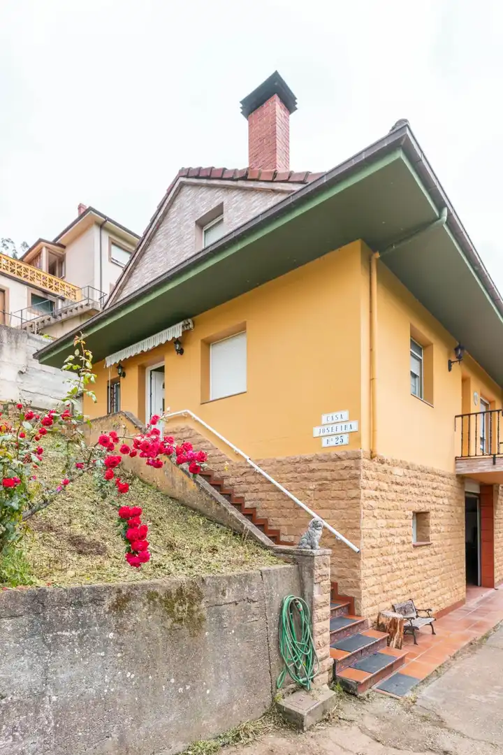 Vista exterior de Casa o chalet en venta en Tineo con Calefacción, Jardín privado y Terraza