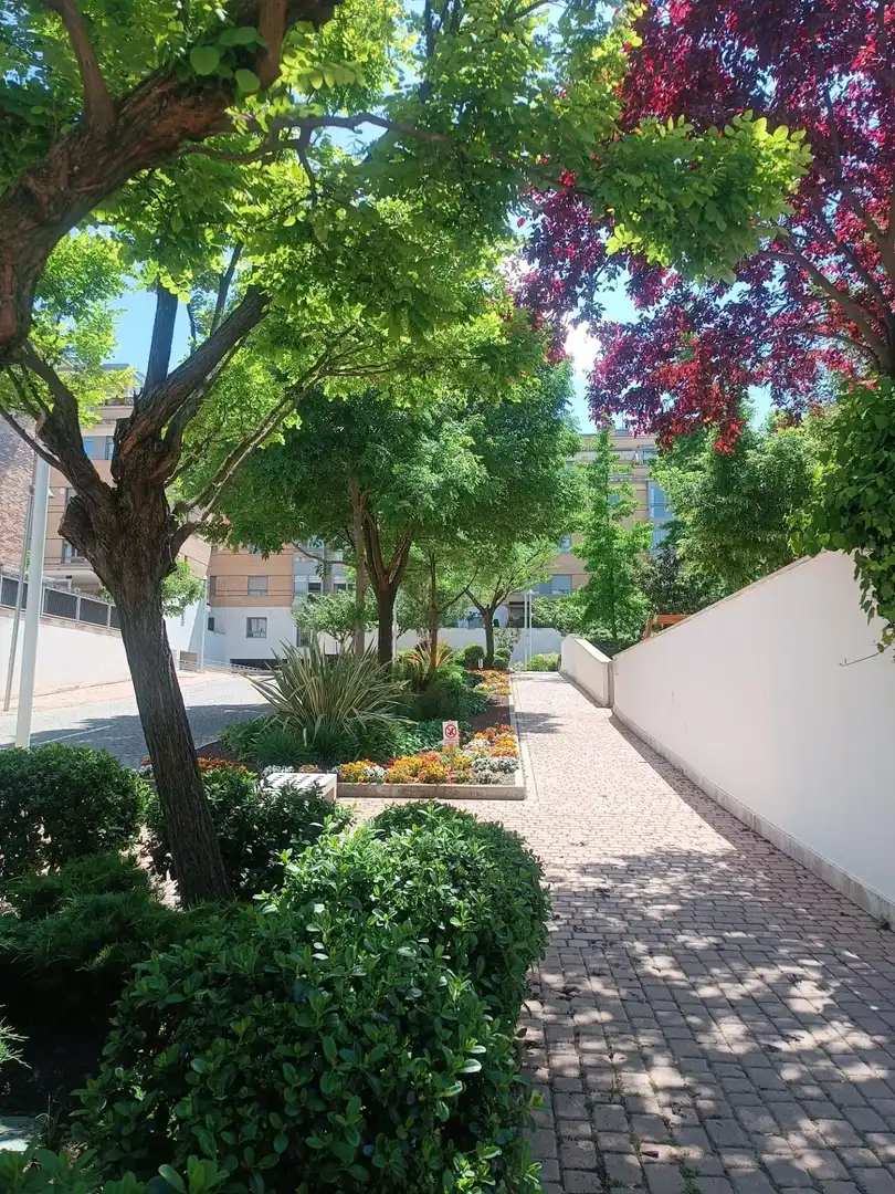 Pis amb piscina en venda a Avenida Talgo, imagen 67