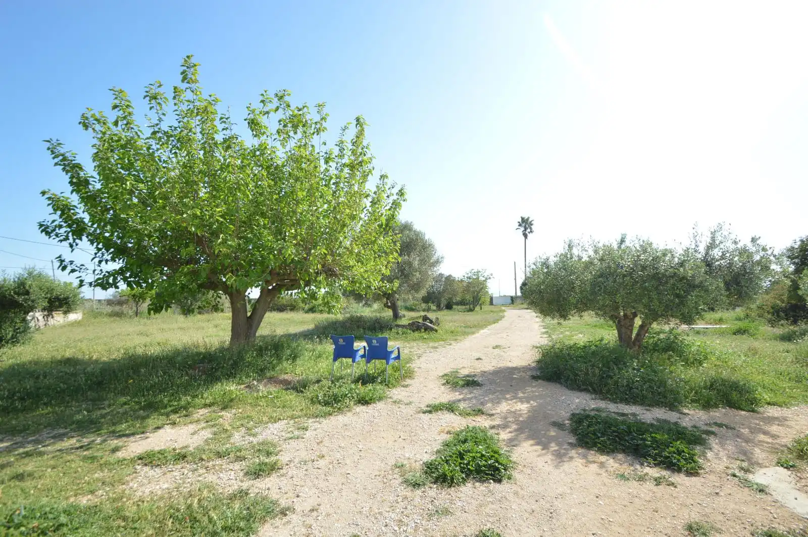 Terreno rustico in vendita a Partidas de interior - Zona Rústica, imagen 49