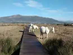Vista exterior de Casa o xalet en venda en Tarifa amb Jardí privat, Moblat i TV