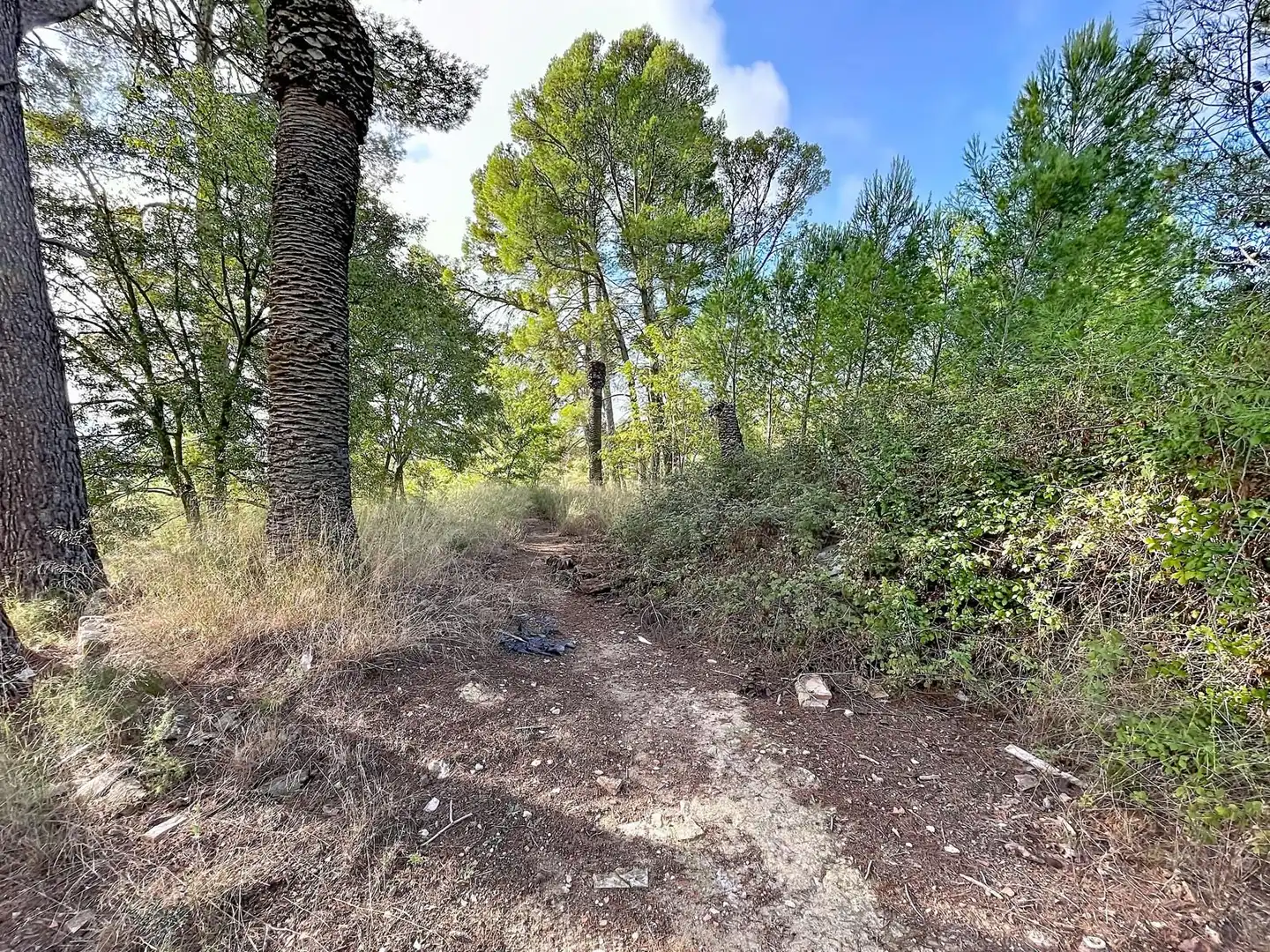Wohnbaugrundstück zum Verkauf in Muro de Alcoy, imagen 12
