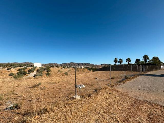 Terreno en Venta en Camino Cuesta del Palmar en Alquería - Torrealquería