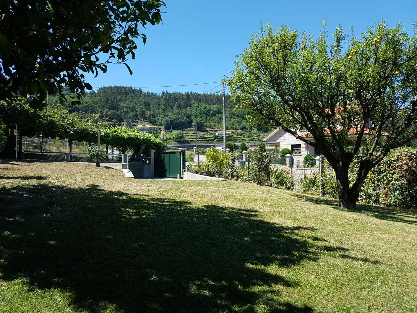 Jardí de Casa o xalet en venda en Campo Lameiro amb Piscina