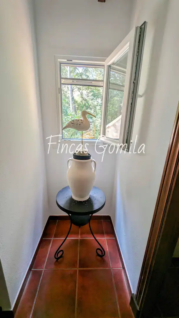 Jardín de Casa o chalet en venta en Es Mercadal con Jardín privado y Terraza