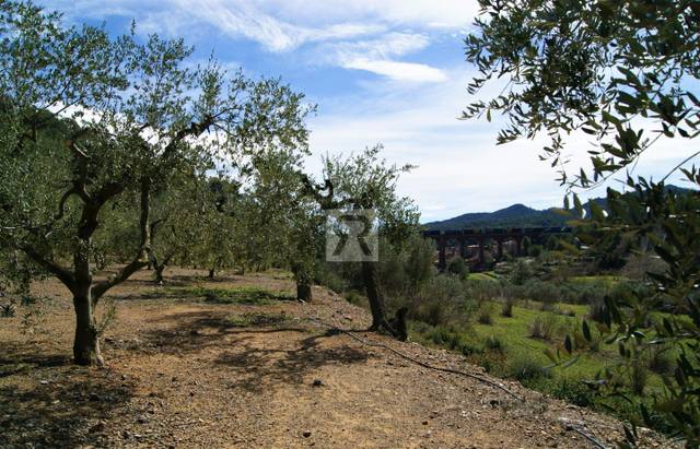 Terreno en Venta en T-313, 5 en Duesaigües