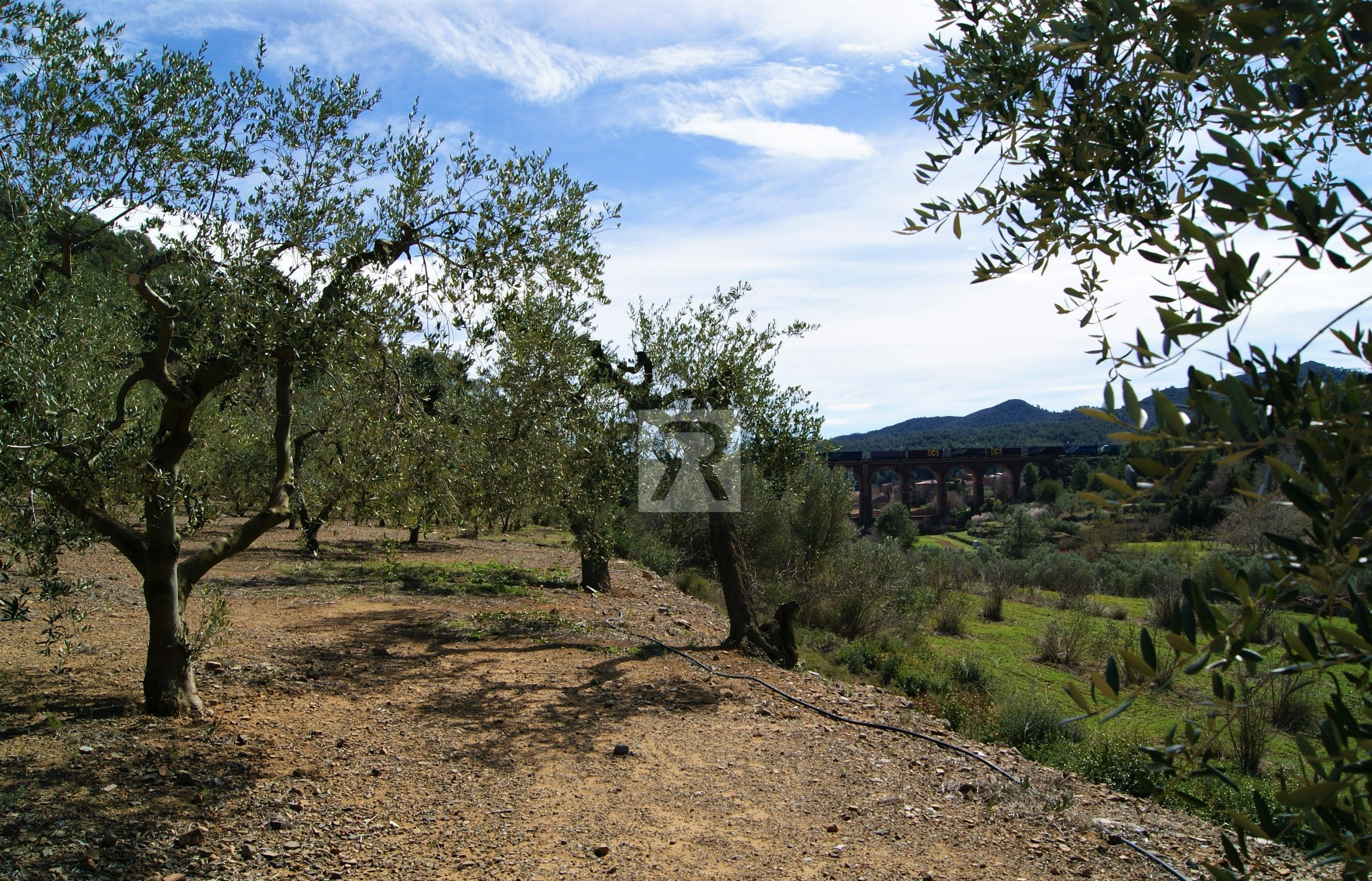 Land for sale in T-313, 5, Duesaigües