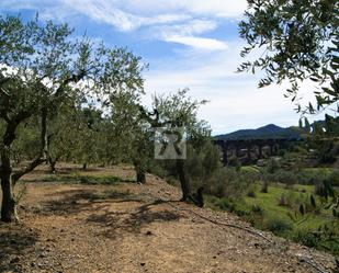 Land for sale in T-313, 5, Duesaigües