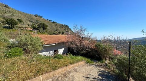 Foto 3 de Casa o chalet en venta en Calle Llanos de la Cumbre, Vega de San Mateo, Las Palmas