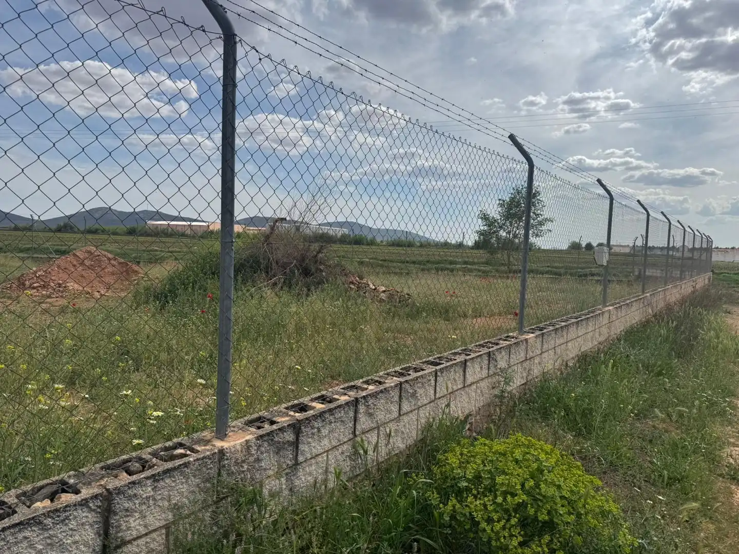 Grundstücke und Bauplätze zum Verkauf in Membrilla, imagen 3
