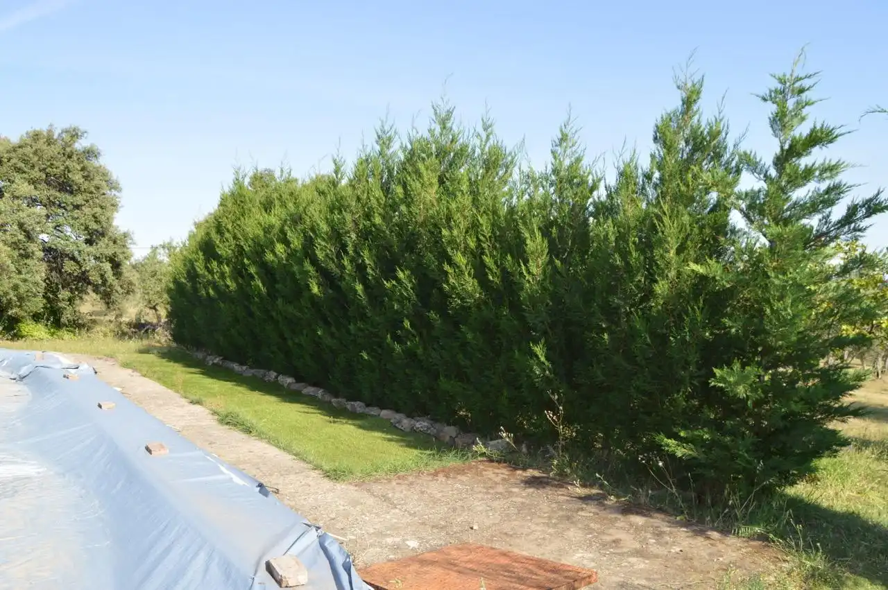 Finca rústica en venta en Mirabel con Aire acondicionado, Calefacción y Trastero